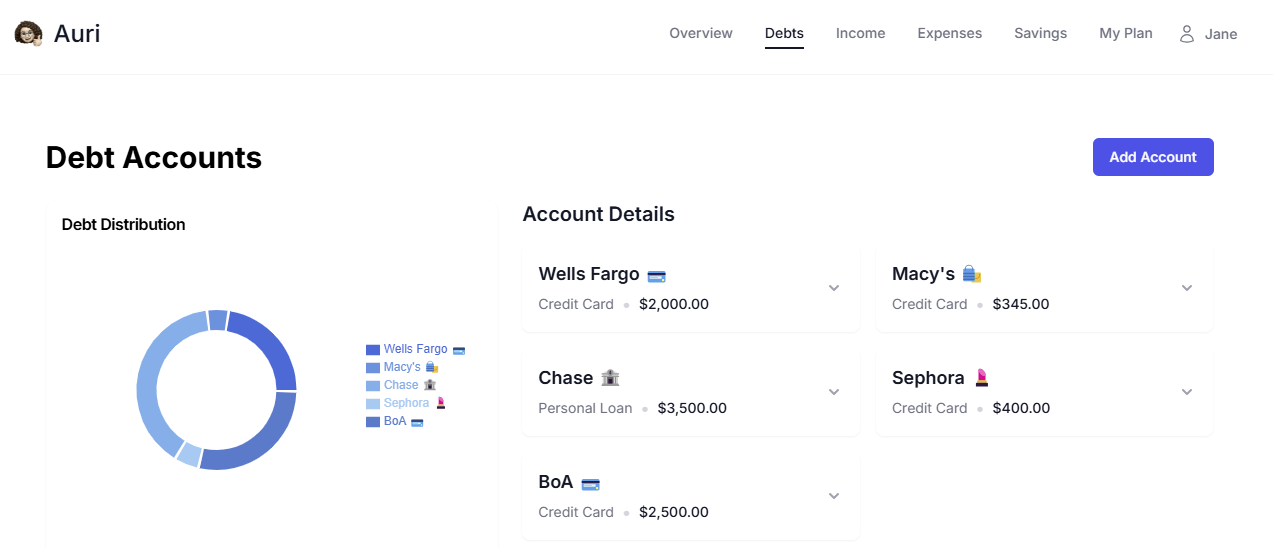 Debt Accounts screenshot showing debt tracking interface